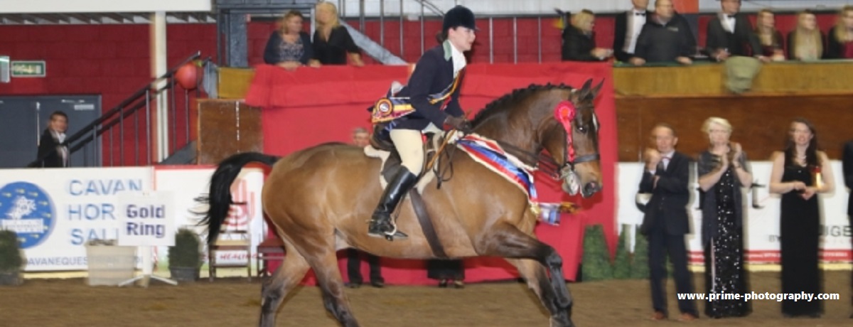 NIF 2024 Dates Announced