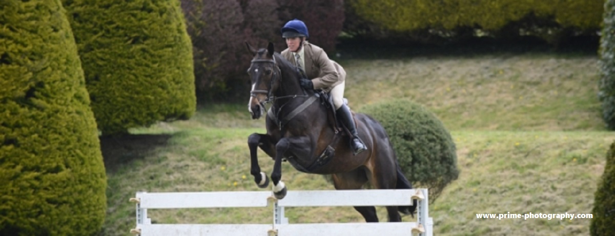 Run a NIF 2024 Working Hunter Qualifying Show